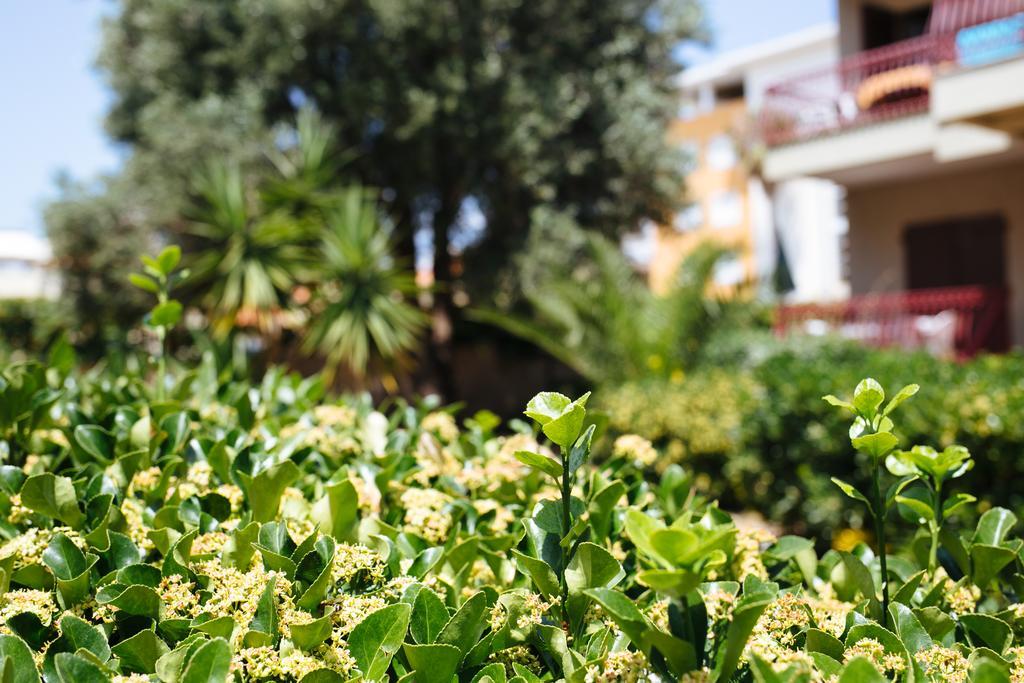 S'Arena Bianca Apartment Альгеро Екстер'єр фото